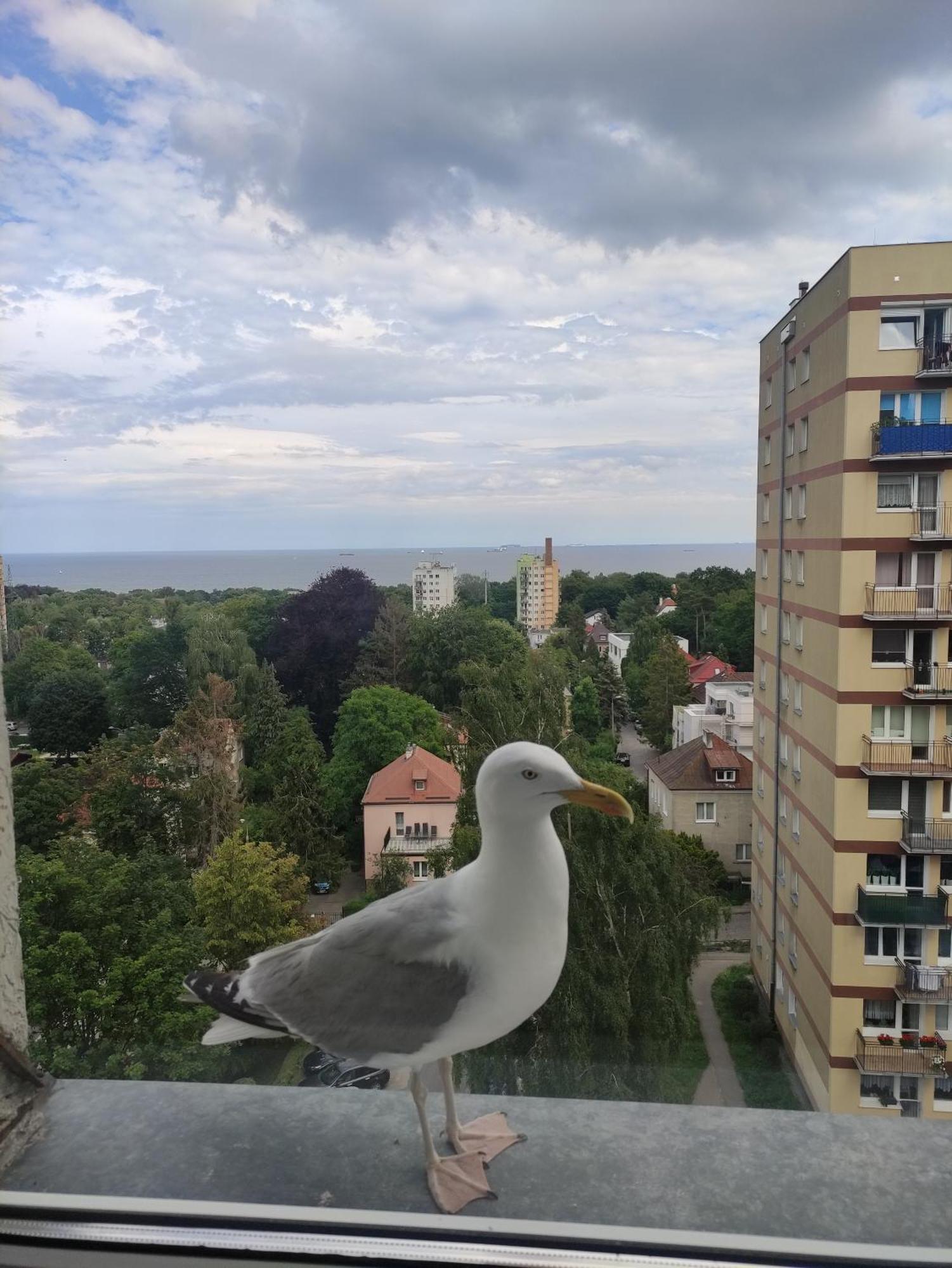 Apartament Widokowo Apartment Сопот Екстериор снимка